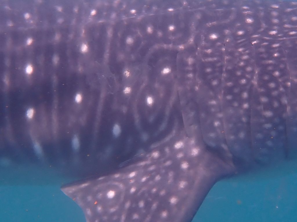 a7e7e02d-57b6-4d95-a7cd-1f81c40402f5