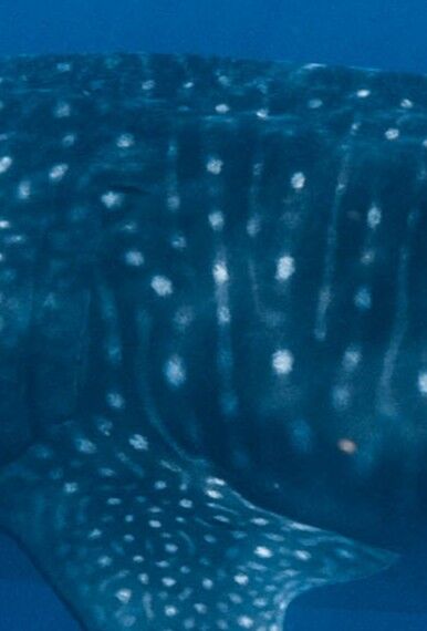 1c712fa3-2b4c-4b32-a024-7336d3ceeba0