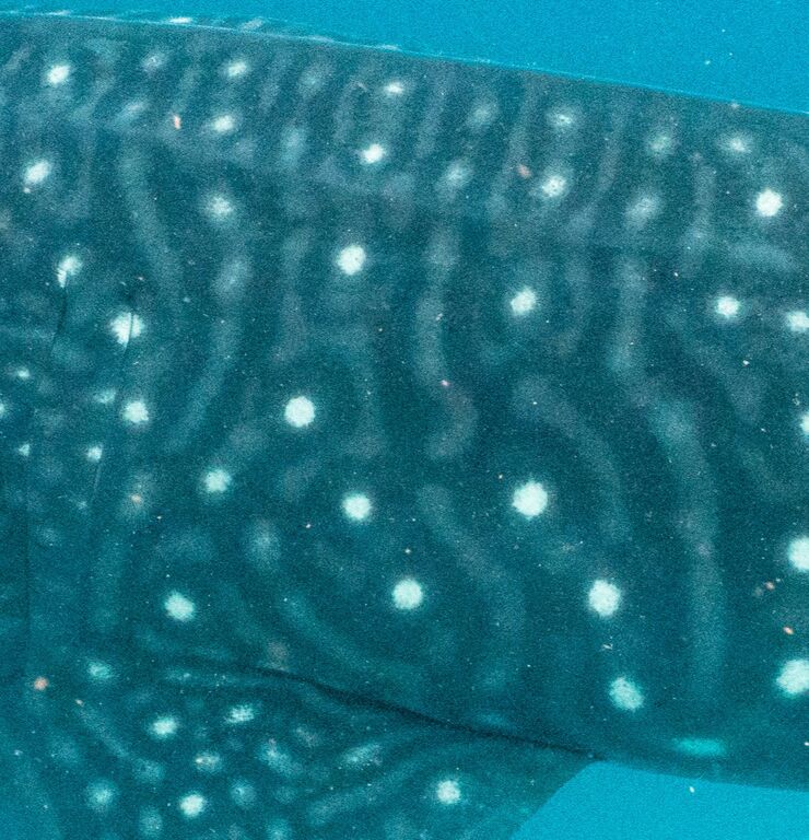 12d065c5-adc4-4848-b539-15167d23c207