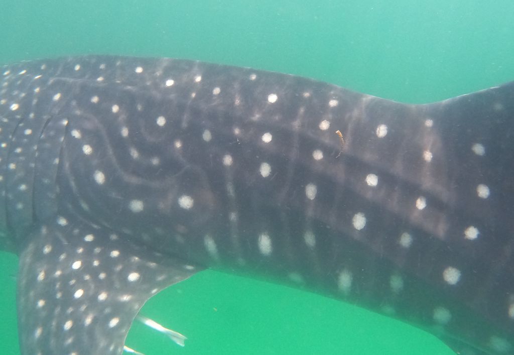 e0f2bdfe-923f-45e9-8b0e-6560e11e4f6d