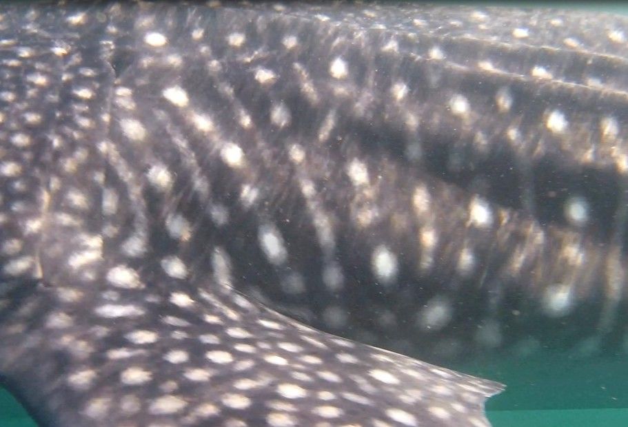 fa9365a6-3ba3-4568-aeae-5c87919e063d