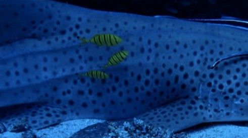 d512d1a0-2c3a-4e5c-a516-8b7c816d1e86