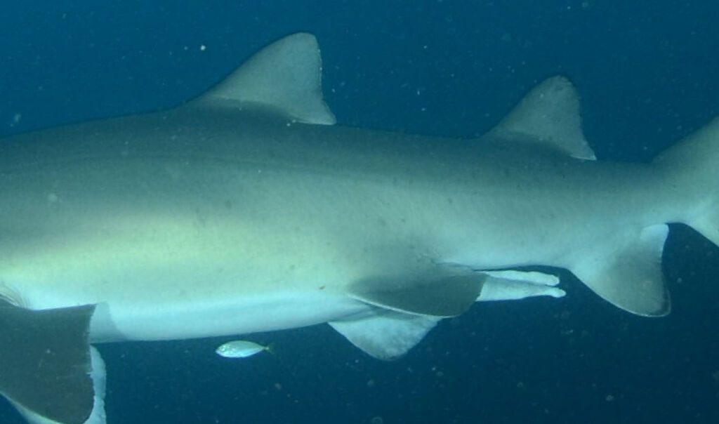 eed73539-a6b5-4dec-823e-490c7deaa3e4