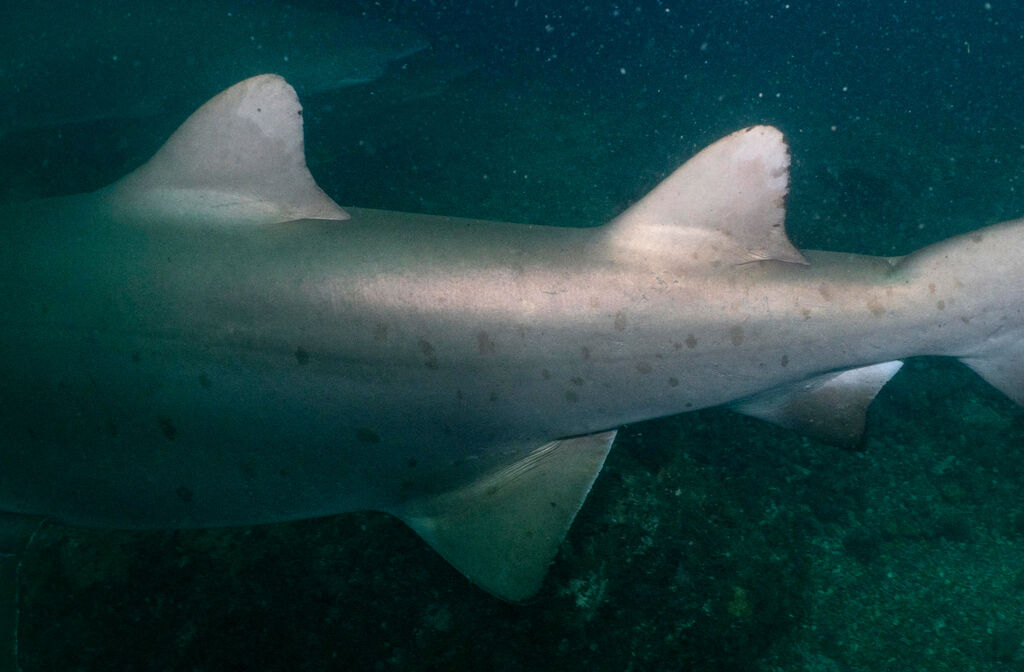 818e2344-08ad-4002-b0d0-5a91474498d5