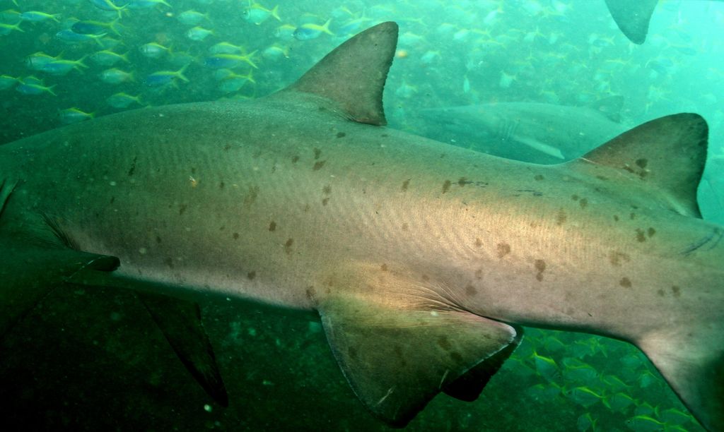 eef8c4f3-364f-421a-85b9-305d07cd76eb