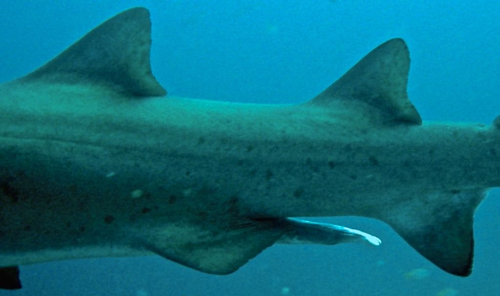 cce321a7-303d-4b1c-b493-e219c6bd67a6