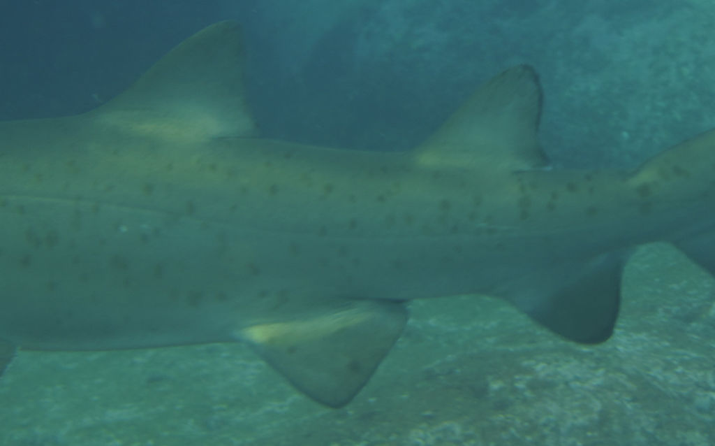 a296121c-f0a5-45aa-ab8d-c8d3dc17bf47