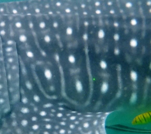 8413ea74-8f4e-446f-aebe-4718f6253143