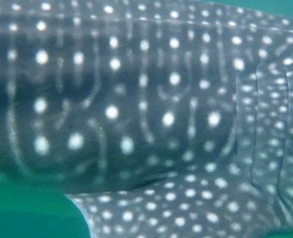 8413ea74-8f4e-446f-aebe-4718f6253143