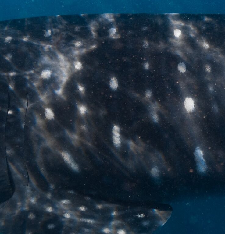 05e95aa7-86d2-4542-ae88-922ffac01003