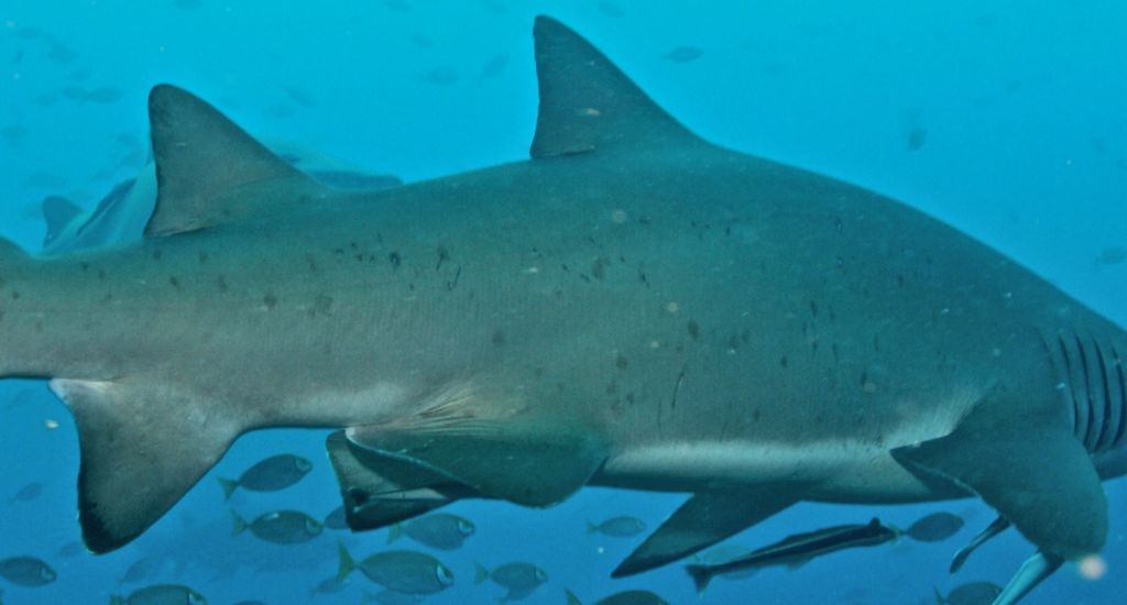 a9aeb856-4989-4036-ab3e-8b40f31df0e2