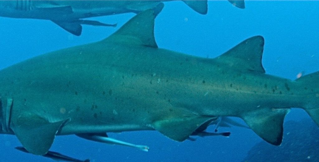 a9aeb856-4989-4036-ab3e-8b40f31df0e2