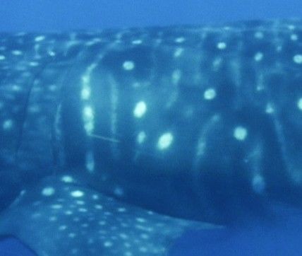 cc1e99b6-67ea-4796-a468-987032e23a76