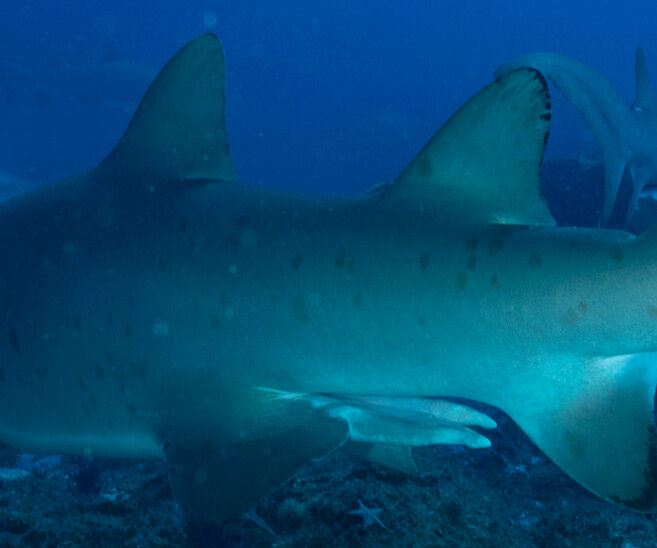 c4564cf5-51f6-4a5a-9097-50035f40e46d