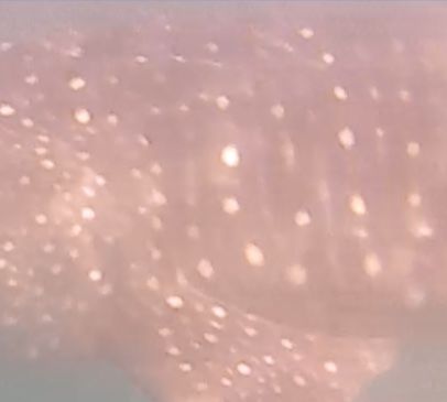 f2fb85d5-501e-4119-b05b-52272f4d29e1