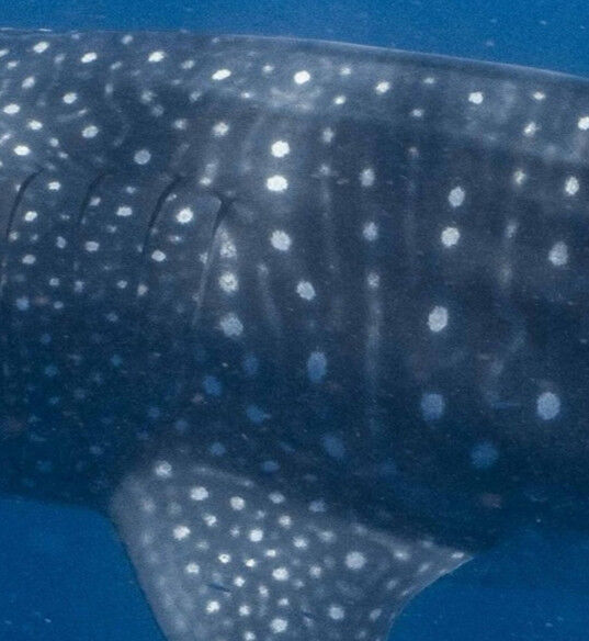 1869e33e-c75e-428e-8aae-09c2f3e72494