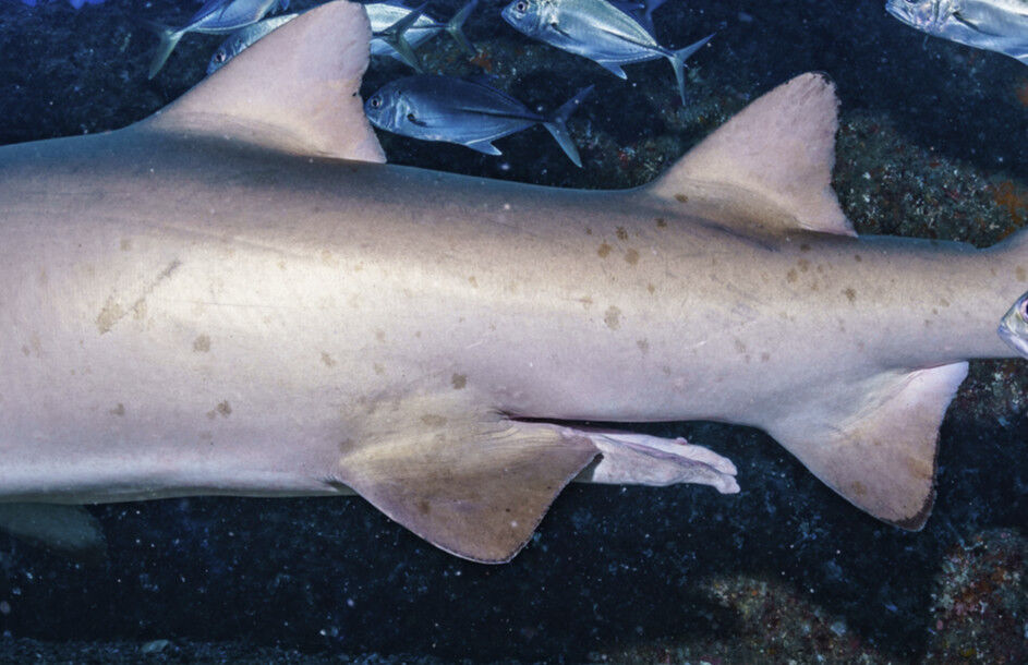 4ee75010-71a0-4c3a-8f3b-1937f0ef2665