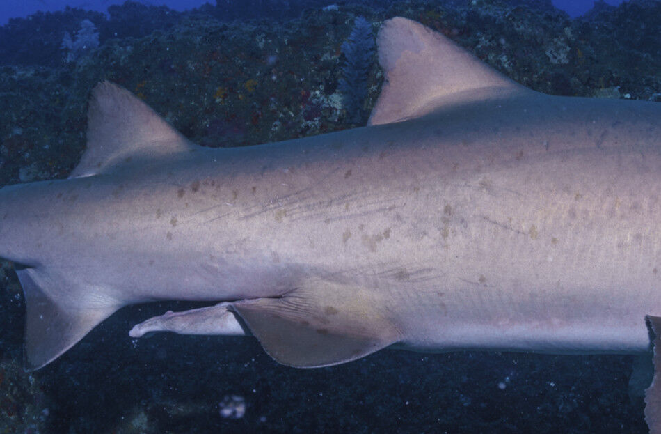 4ee75010-71a0-4c3a-8f3b-1937f0ef2665