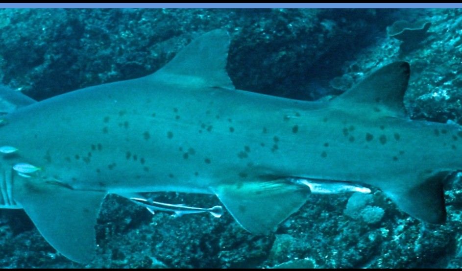 2e1e0d88-a7e6-4f9c-911a-359167d5c6fa