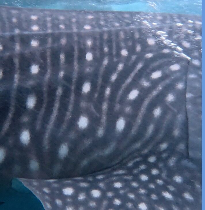 b5bfd4f6-32a5-462c-b7de-54fd987263cd