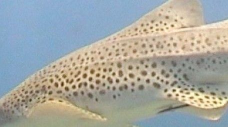 d59a091c-493d-4bcb-95ee-4b333a268e13