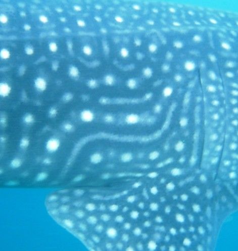 316c8d74-e5e7-4674-8818-681fccf94259