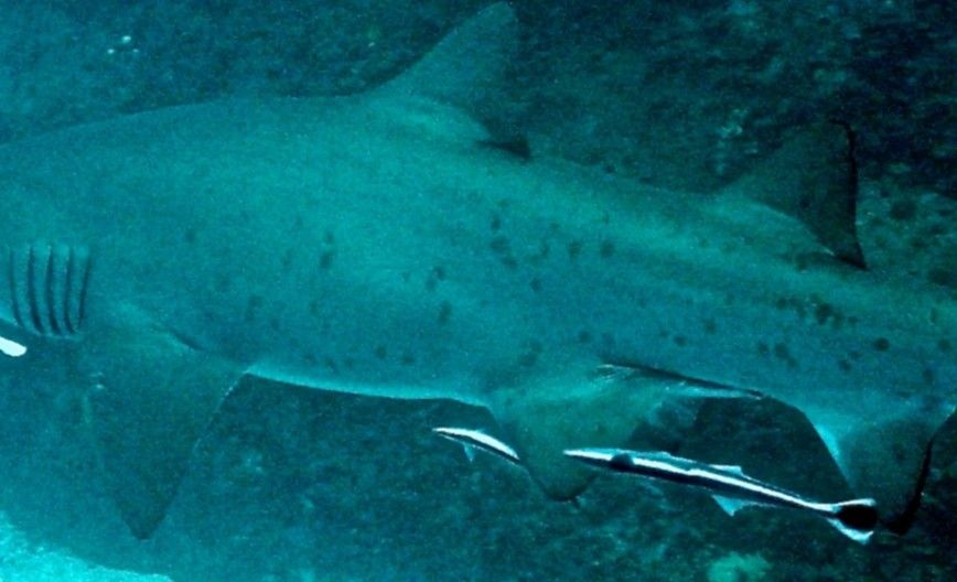 ebc4b8c1-0f2e-4621-8536-fb46e234937b