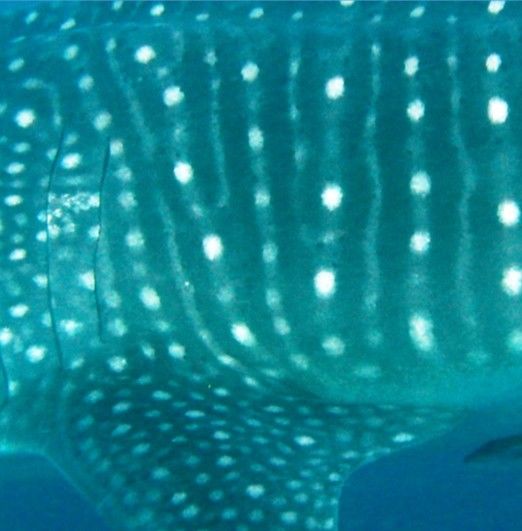 89ef886e-0545-4187-afb4-682d095778bb