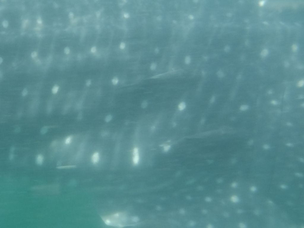 c821569e-aa5f-4ce5-bbac-e152eb8fc197