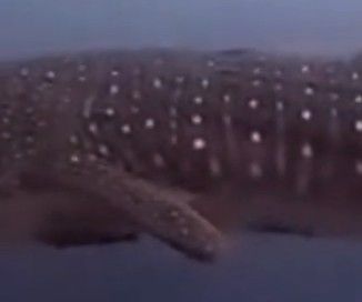 7098d840-1f8d-4352-9a0c-b72f1de8a249