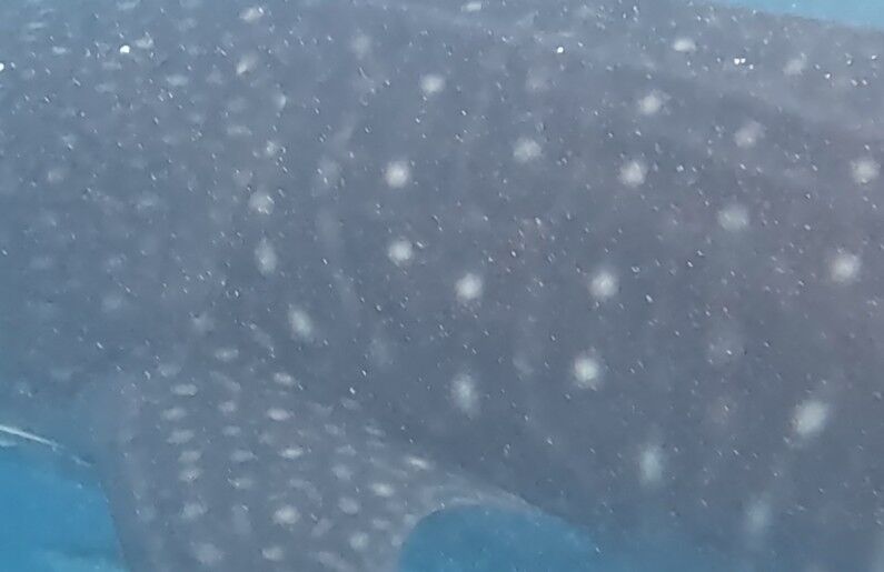 c9884bfd-b59a-4906-99b3-95b46664bca2