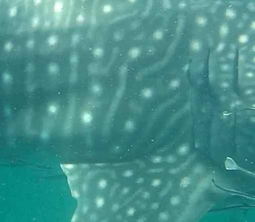 6af82f16-90b5-42f4-89ca-8e07de871aa9