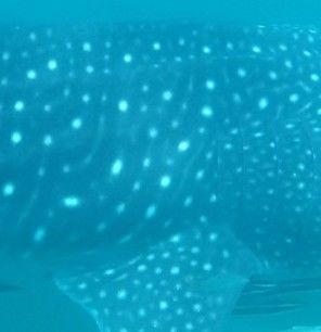 30d333fe-15af-4d73-a9c8-47cd9cd7a7c4