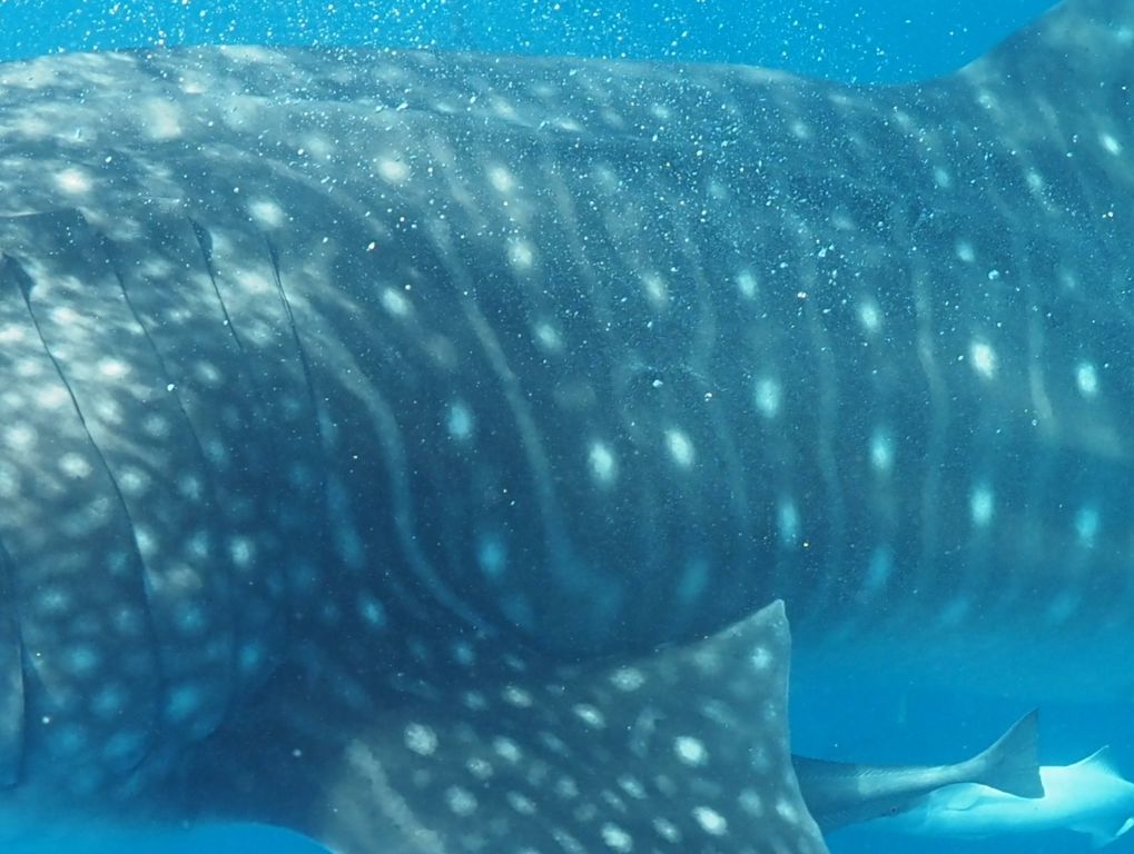 16bff513-bfdd-4cf4-9599-d50f720291d5