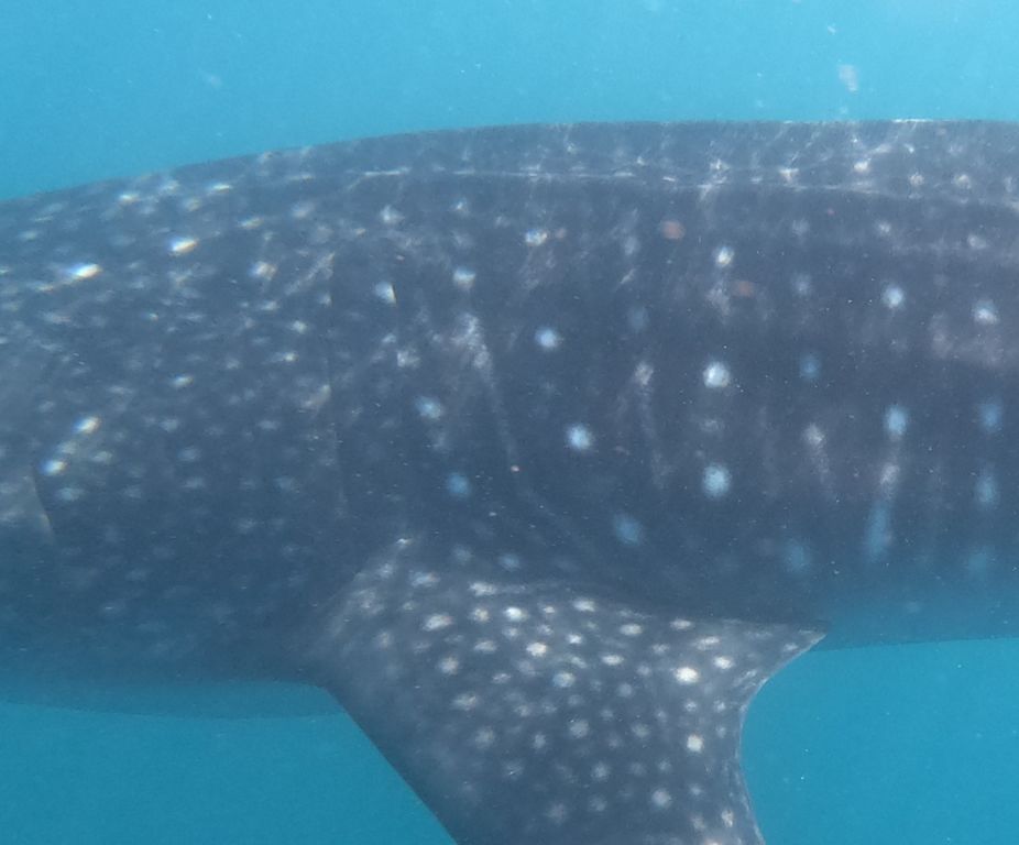 2ab0916c-639d-4db0-afb5-1e8d77f9648e