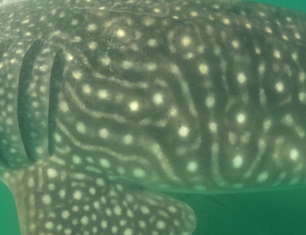 d2fc437e-423e-4fea-b7ef-5e7659a7ad6f