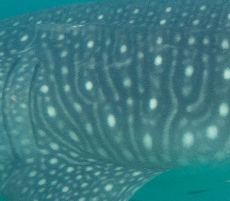 e3bdfb4c-261f-4496-aee7-5e1c378b7203