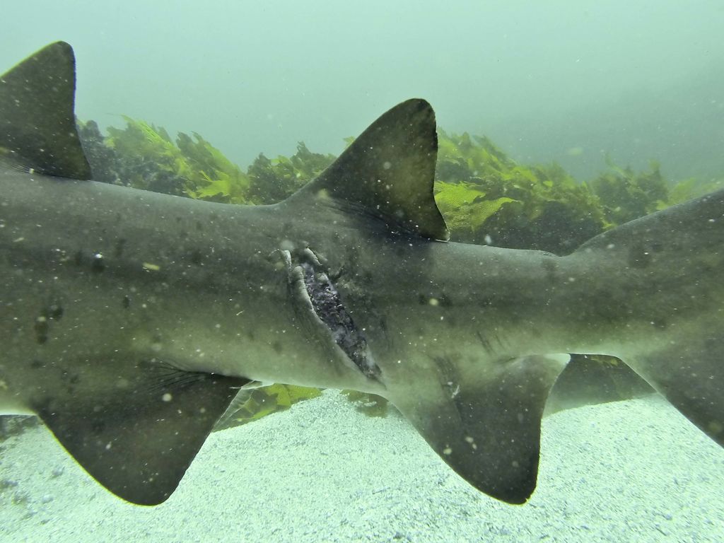 639ce012-020a-4eed-9fe6-807d4d3a05f1