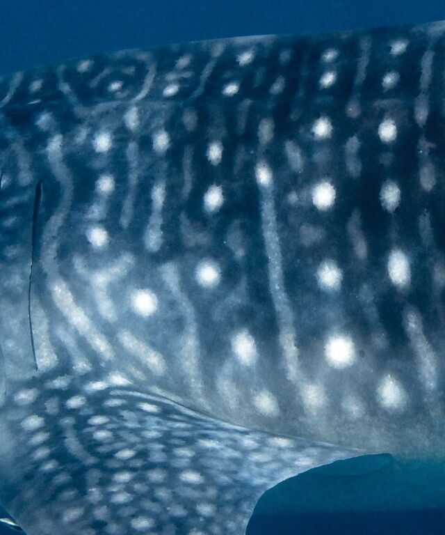 28b0d3c8-a28b-4e80-970e-2b8bf9ddc8c5