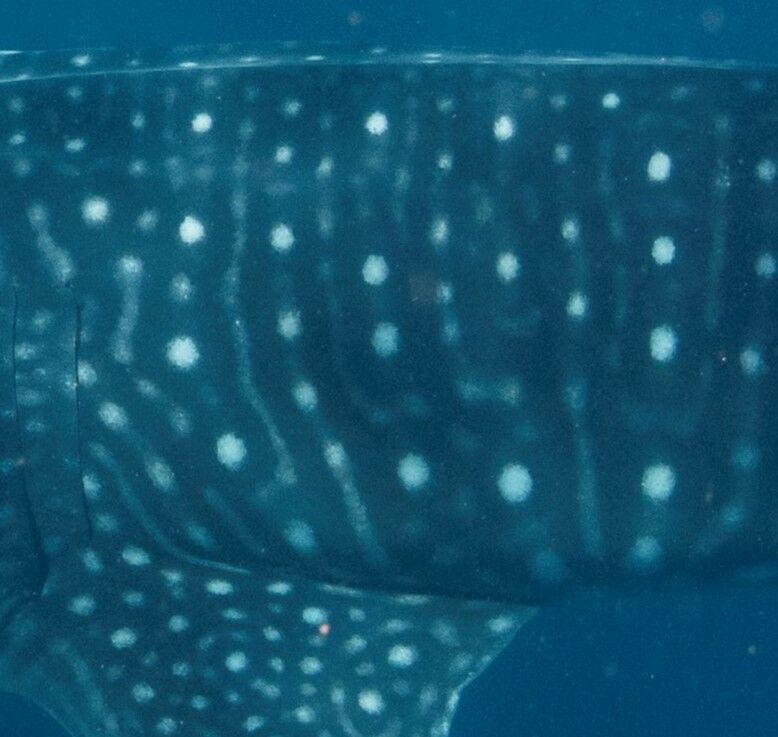 10fd1617-99db-4d24-97ee-7b6128ba52bb