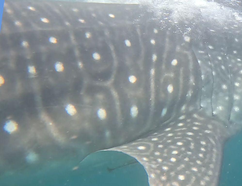 b7b33171-0e88-4106-93ec-1109cfdecaf9