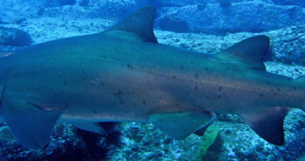 25d1de63-250e-4974-8636-8fd4fc765761