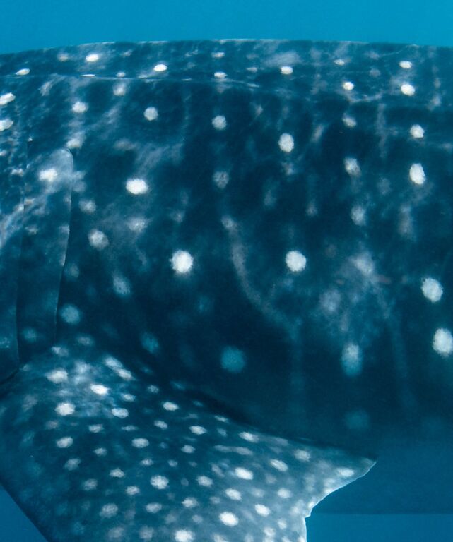 4eb63fb5-838c-4be0-8da1-500876c999ec