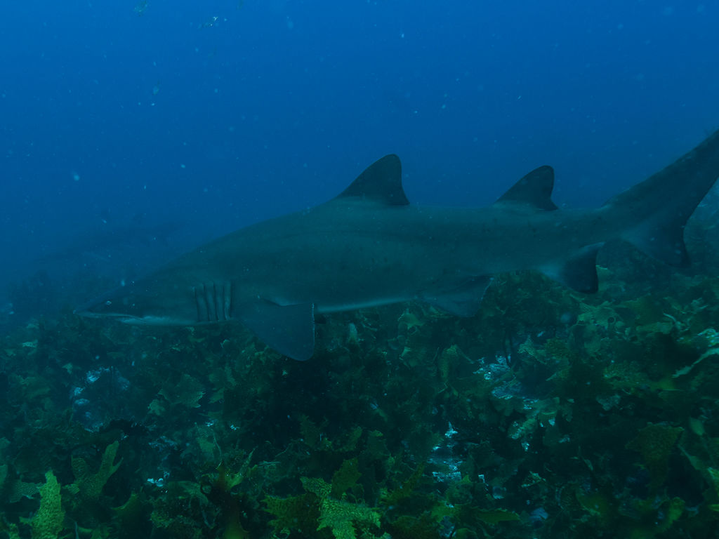 88bca0fd-bd21-43f4-bb62-7de830ecfffa