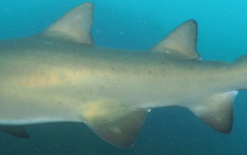 1645b24b-a54e-4ff0-b053-2cc3f0d0205d