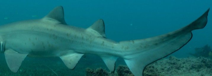 1934f939-913b-427b-83b8-dac34a906f76