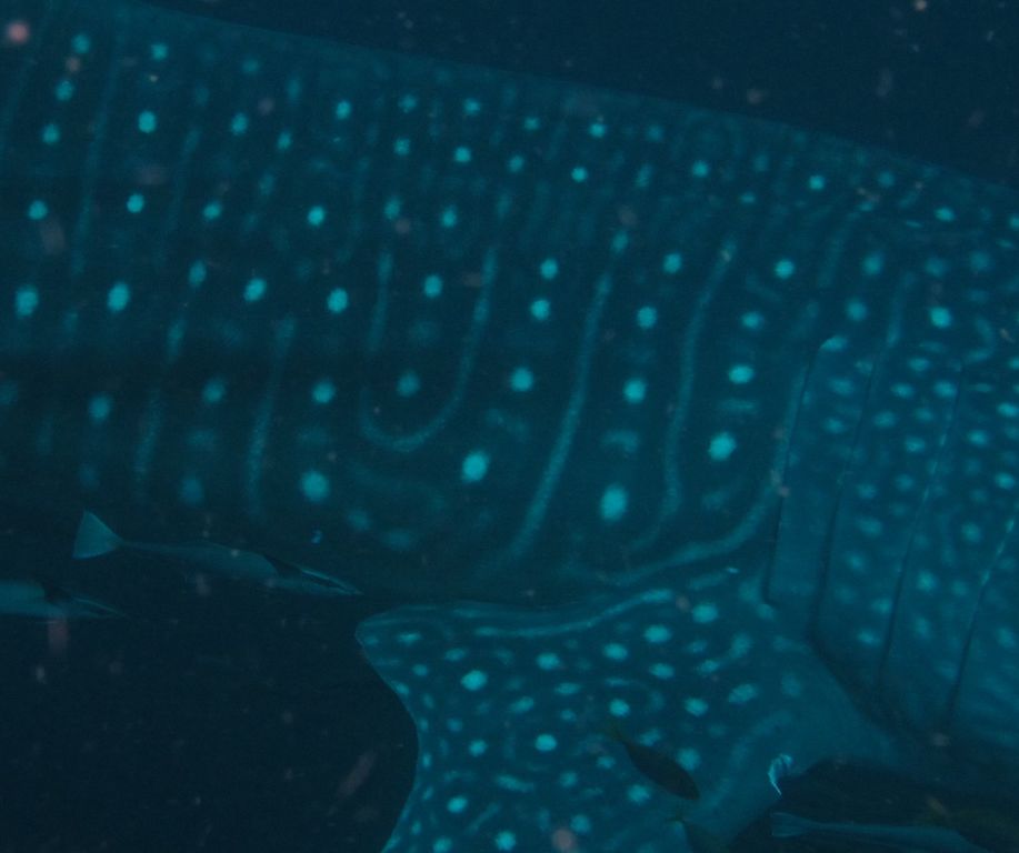 07417490-aef3-4522-b504-94a73afd955c