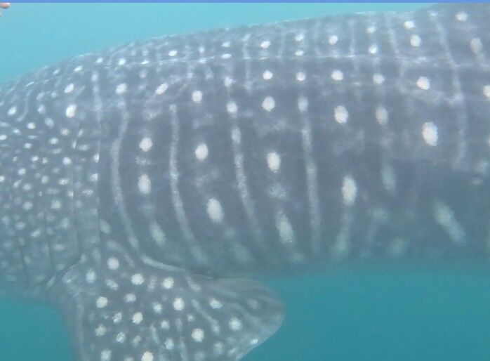 20b42ba3-5493-47e9-9acb-ff70a9cedcec