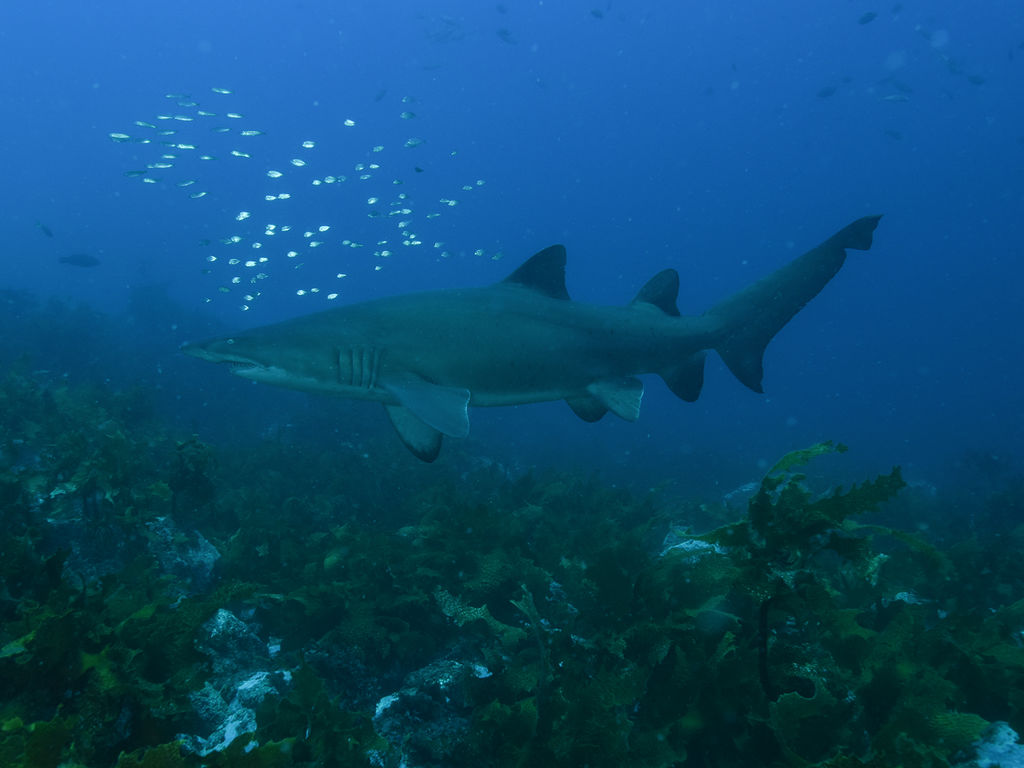 9bcddd17-2d17-45b4-8413-0d3c8adca1c0