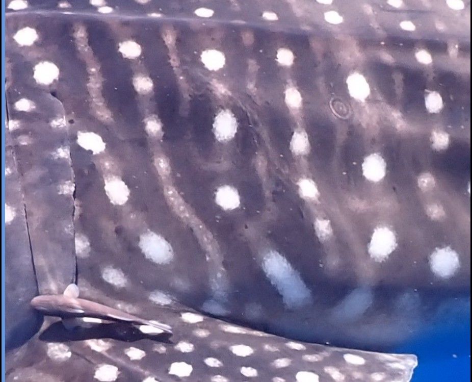 b8518758-fa54-496a-8d55-c91e0c6297f6